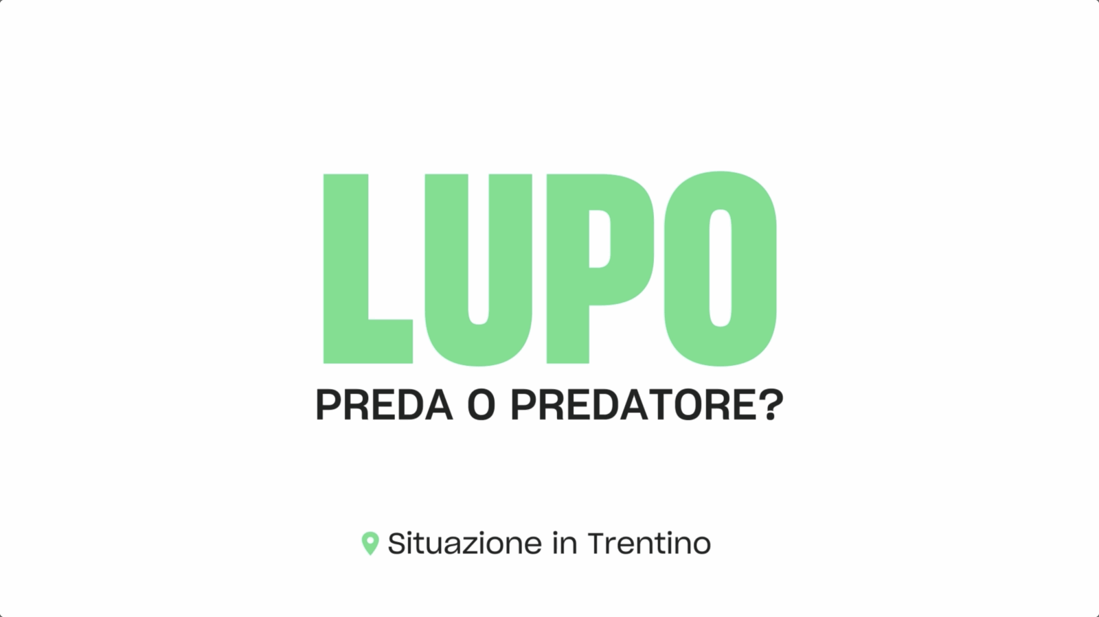 Thumbnail Lupo